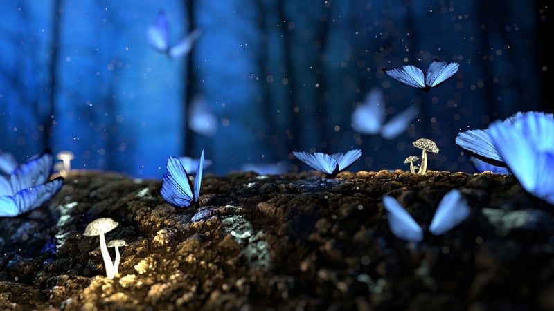Butterfly Effect